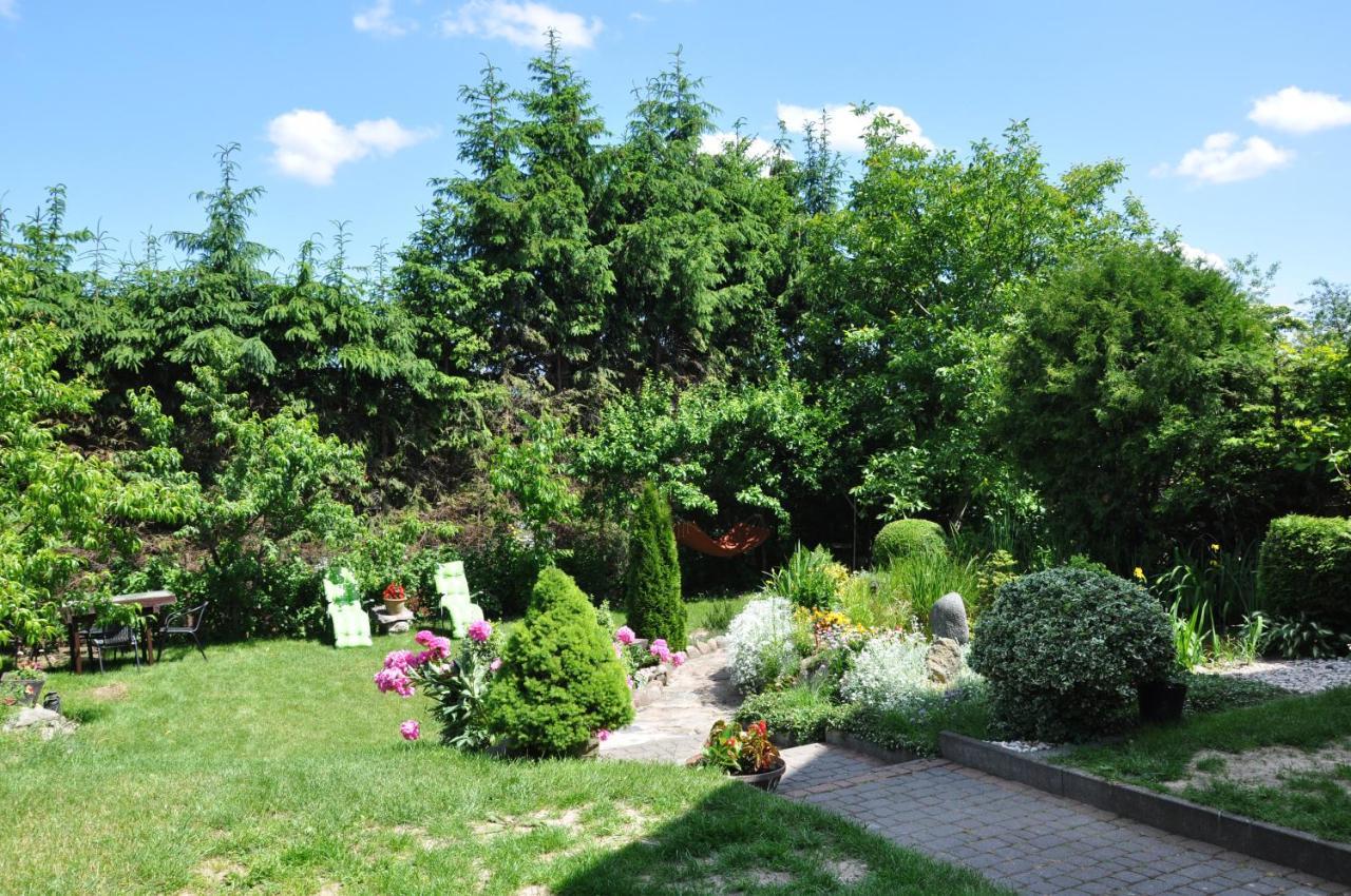 Oaza U Tadeusza Daire Augustów Dış mekan fotoğraf
