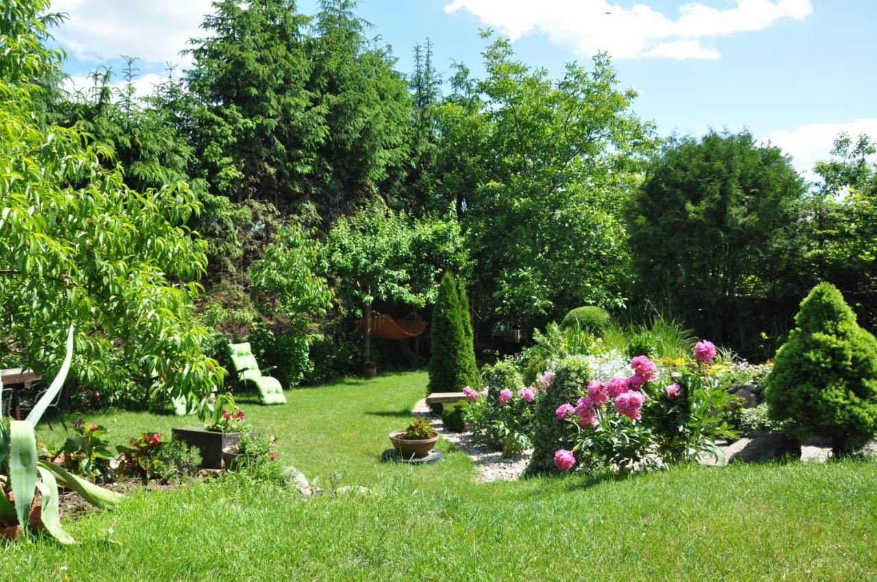 Oaza U Tadeusza Daire Augustów Dış mekan fotoğraf